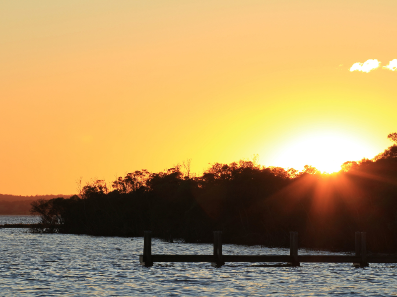 Sunset on Raymond Island over the trees.